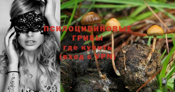 ГАЛЛЮЦИНОГЕННЫЕ ГРИБЫ Алексеевка