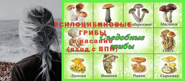ГАЛЛЮЦИНОГЕННЫЕ ГРИБЫ Алексеевка