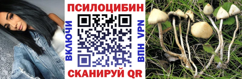 где купить наркоту  Полтавская  Псилоцибиновые грибы Magic Shrooms 